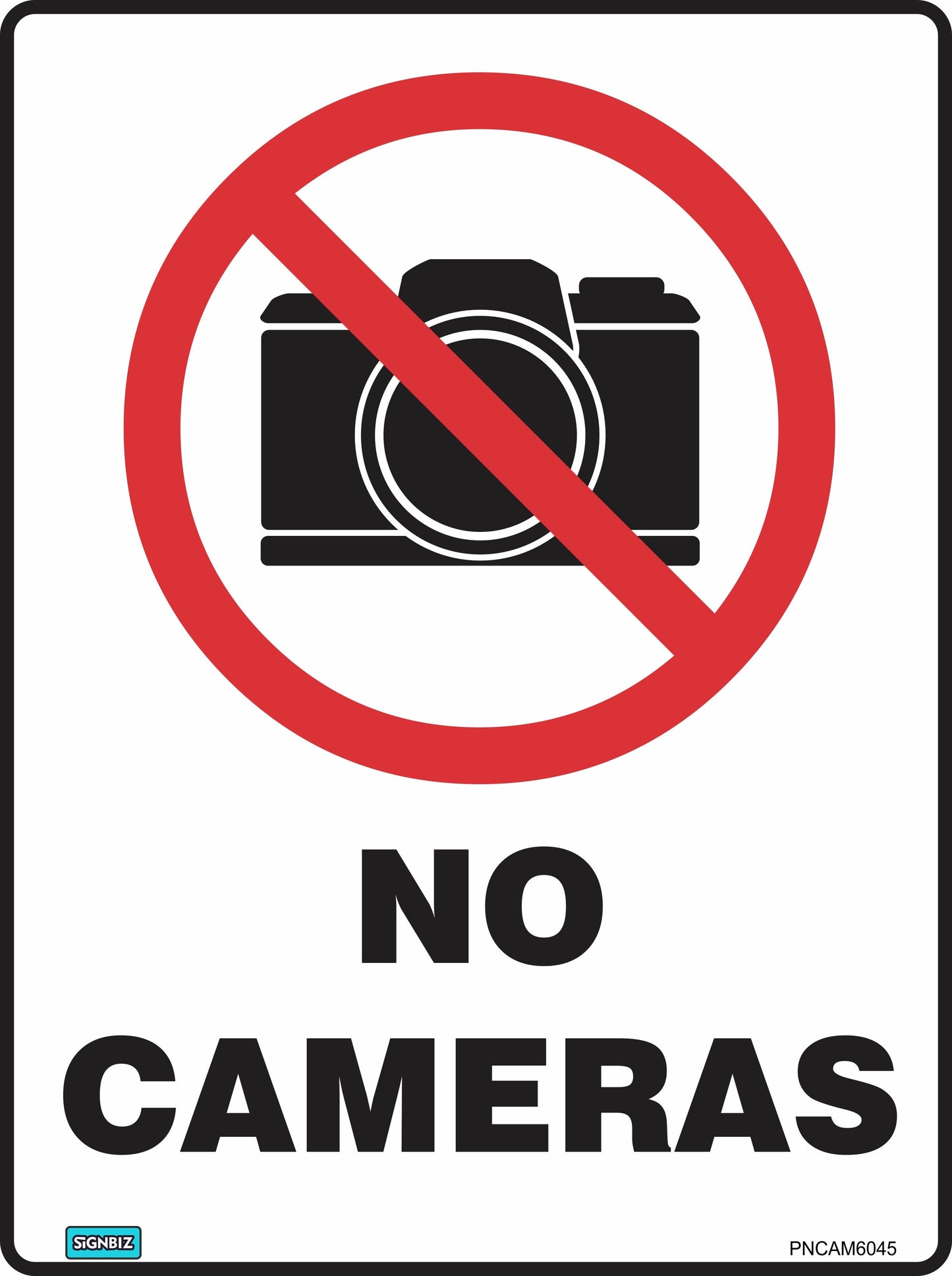 Prohibition No Cameras
