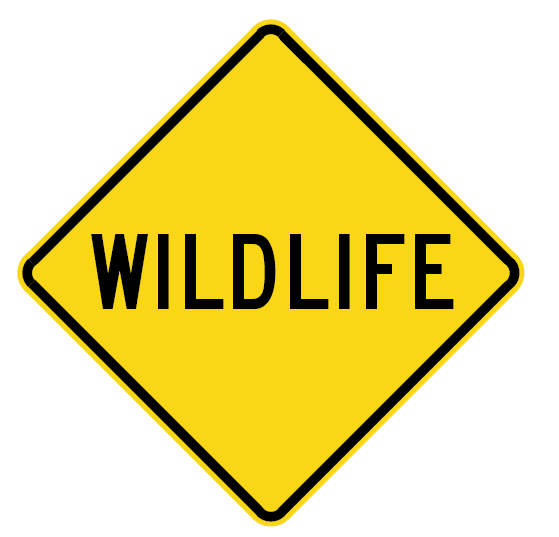 W5-56n - Wildlife