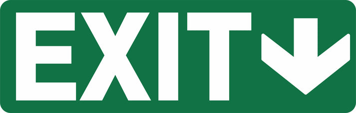 EXIT SIGN - EXIT DOWN – Signbiz