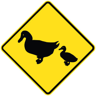 W5-237n - Ducks (Symbolic)