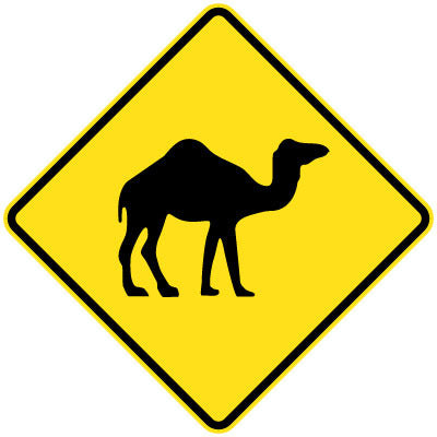 W5-44 - Camel (symbolic)