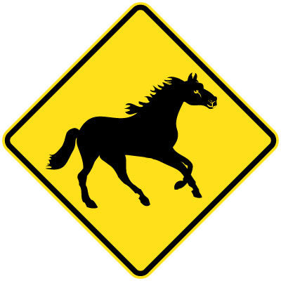 W5-46 - Wild Horse (Symbolic)