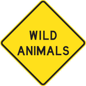 W5-49 - Wild Animals