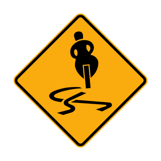 W5-54 Motorcycle Instability (Symbolic)