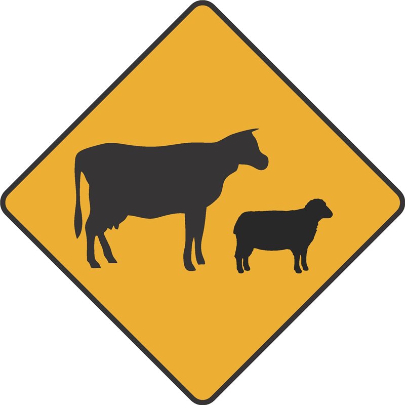 WARNING CATTLE STOCK COW SHEEP