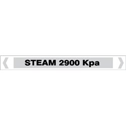STEAM - STEAM 2900 KPA