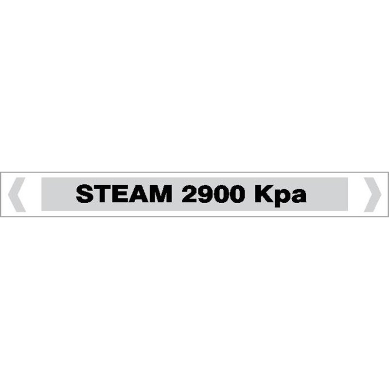 STEAM - STEAM 2900 KPA
